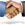 Aidez nous &agrave; mieux vous conna&icirc;tre afin b&eacute;n&eacute;ficier des avantages exclusifs